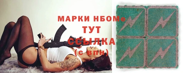 spice Богородицк