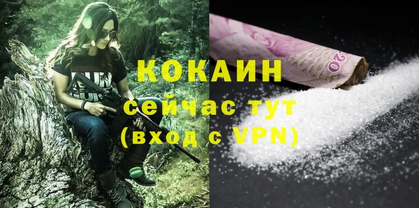 spice Богородицк