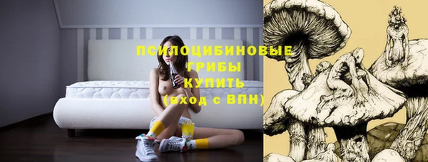 бошки Беломорск