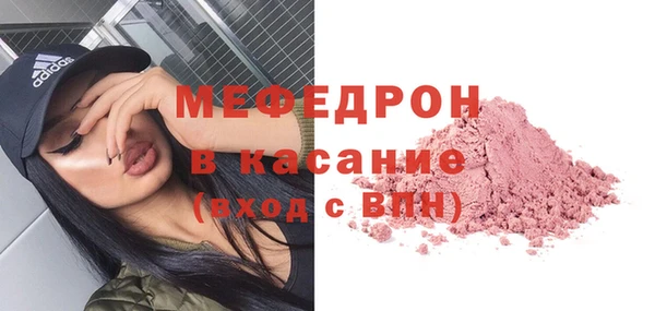spice Богородицк
