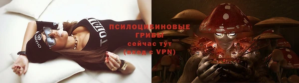не бодяженный Белокуриха